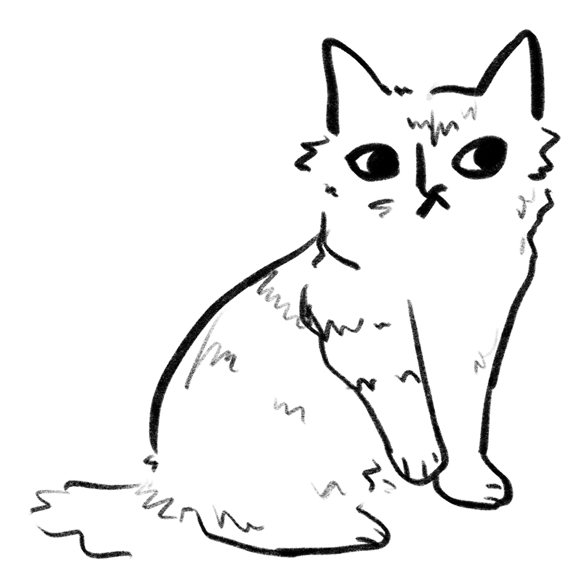 Pixiebob Cat Breed